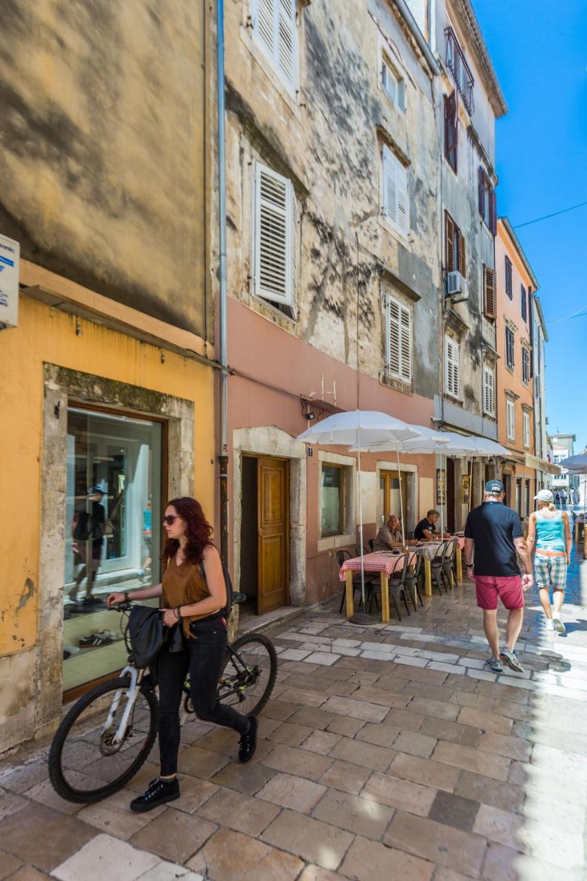 Drago 2br Apt. In Old Town Apartment Zadar